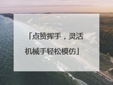 点赞挥手，灵活机械手轻松模仿