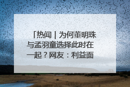 热闻｜为何董明珠与孟羽童选择此时在一起？网友：利益面前啥都能和解