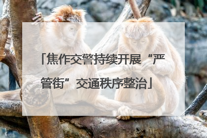 焦作交警持续开展“严管街”交通秩序整治