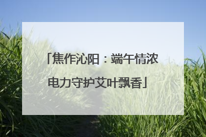 焦作沁阳：端午情浓 电力守护艾叶飘香