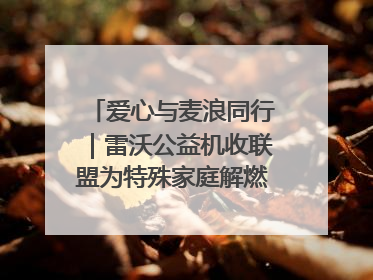 爱心与麦浪同行｜雷沃公益机收联盟为特殊家庭解燃“麦”之急