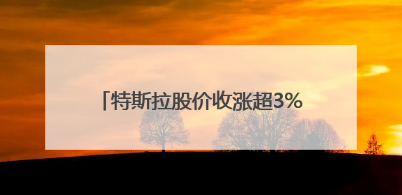 特斯拉股价收涨超3%：特朗普无意沟通，马斯克父亲劝儿子低头