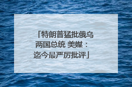 特朗普猛批俄乌两国总统 美媒：迄今最严厉批评
