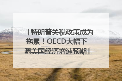 特朗普关税政策成为拖累！OECD大幅下调美国经济增速预期