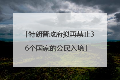 特朗普政府拟再禁止36个国家的公民入境