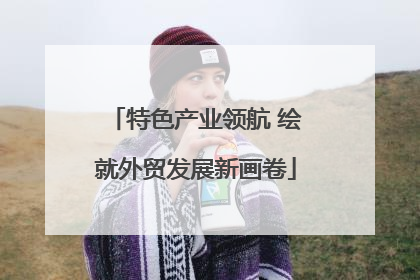 特色产业领航 绘就外贸发展新画卷