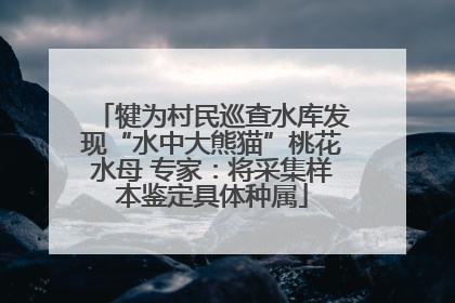 犍为村民巡查水库发现“水中大熊猫”桃花水母 专家：将采集样本鉴定具体种属