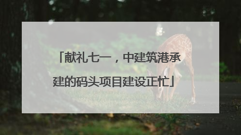 献礼七一，中建筑港承建的码头项目建设正忙