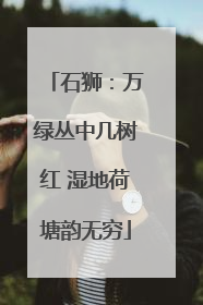 石狮：万绿丛中几树红 湿地荷塘韵无穷