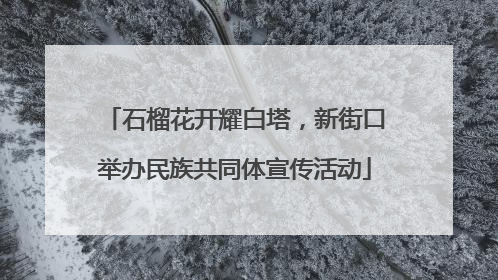 石榴花开耀白塔，新街口举办民族共同体宣传活动