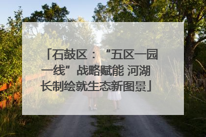 石鼓区：“五区一园一线”战略赋能 河湖长制绘就生态新图景