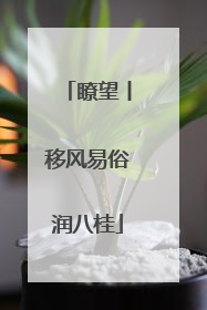 瞭望丨移风易俗润八桂