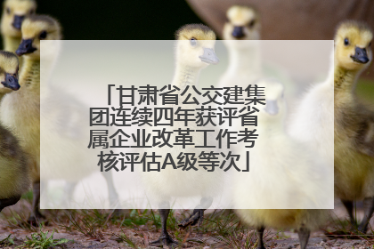 甘肃省公交建集团连续四年获评省属企业改革工作考核评估A级等次
