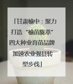 甘肃榆中：聚力打造“榆苗陇萃”四大种业育苗品牌 加速农业强县转型步伐