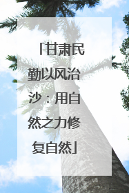甘肃民勤以风治沙：用自然之力修复自然