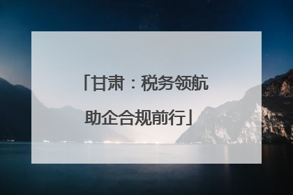 甘肃：税务领航 助企合规前行