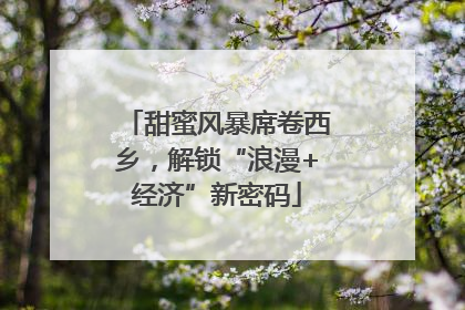 甜蜜风暴席卷西乡，解锁“浪漫+经济”新密码