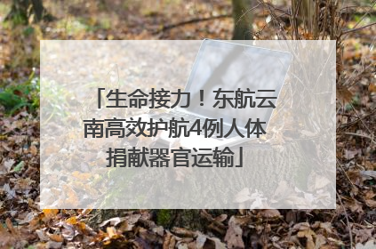 生命接力！东航云南高效护航4例人体捐献器官运输