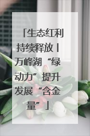 生态红利持续释放丨万峰湖“绿动力”提升发展“含金量”