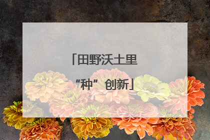 田野沃土里“种”创新