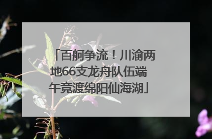 百舸争流！川渝两地66支龙舟队伍端午竞渡绵阳仙海湖