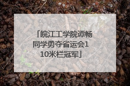 皖江工学院谭畅同学勇夺省运会110米栏冠军