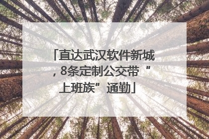 直达武汉软件新城，8条定制公交带“上班族”通勤