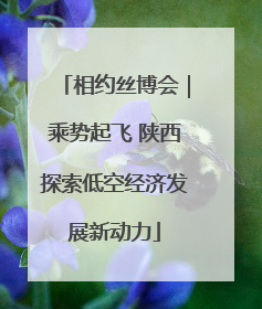 相约丝博会｜乘势起飞 陕西探索低空经济发展新动力