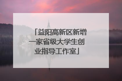 益阳高新区新增一家省级大学生创业指导工作室