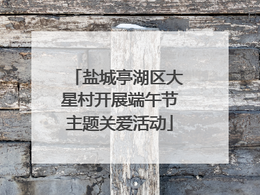 盐城亭湖区大星村开展端午节主题关爱活动