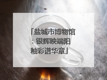 盐城市博物馆：银辉映端阳 釉彩谱华章