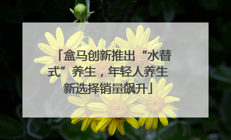 盒马创新推出“水替式”养生，年轻人养生新选择销量飙升