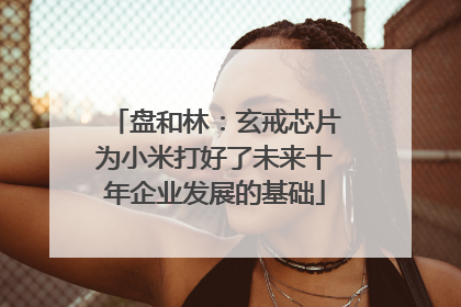 盘和林：玄戒芯片为小米打好了未来十年企业发展的基础