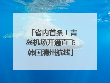 省内首条！青岛机场开通直飞韩国清州航线
