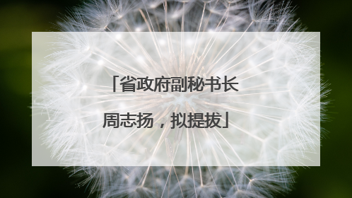 省政府副秘书长周志扬，拟提拔