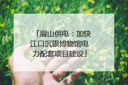 眉山供电：加快江口沉银博物馆电力配套项目建设