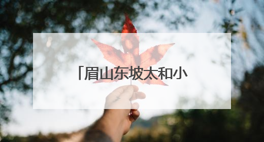 眉山东坡太和小学让安全知识在学生心里深深扎根