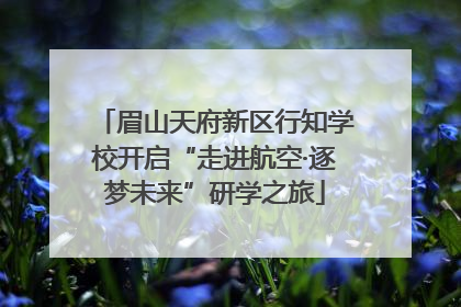 眉山天府新区行知学校开启“走进航空·逐梦未来”研学之旅