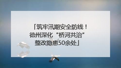 筑牢汛期安全防线！德州深化“桥河共治”整改隐患50余处