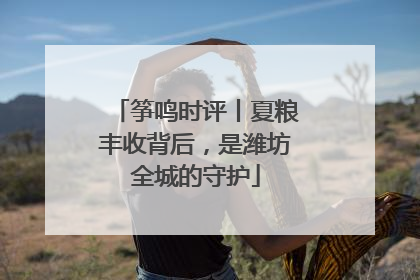 筝鸣时评丨夏粮丰收背后，是潍坊全城的守护