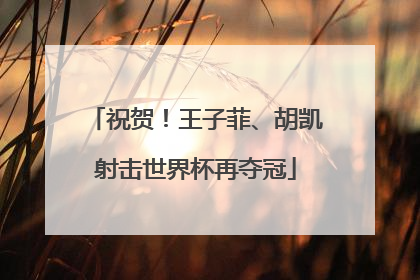 祝贺！王子菲、胡凯射击世界杯再夺冠