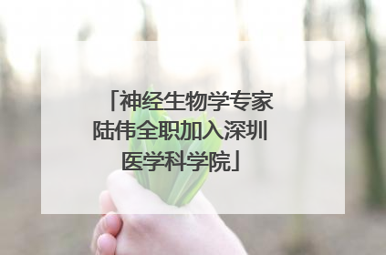 神经生物学专家陆伟全职加入深圳医学科学院