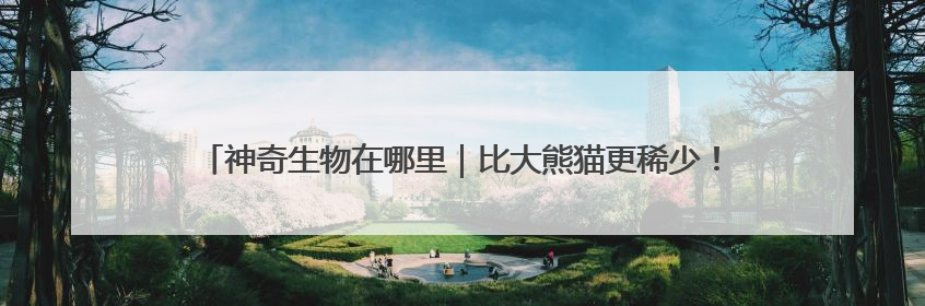 神奇生物在哪里｜比大熊猫更稀少！湖南新宁成功救护濒危鸟类海南鳽