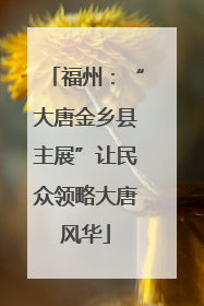 福州：“大唐金乡县主展”让民众领略大唐风华