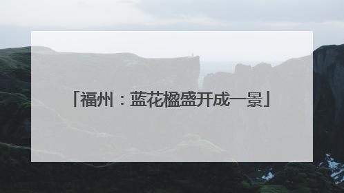 福州：蓝花楹盛开成一景