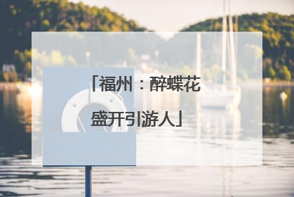 福州：醉蝶花盛开引游人
