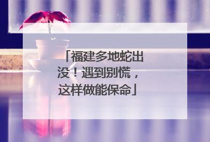 福建多地蛇出没！遇到别慌，这样做能保命