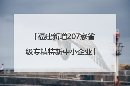 福建新增207家省级专精特新中小企业