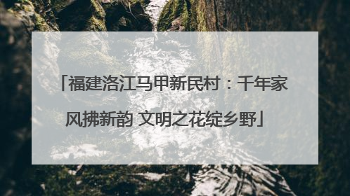 福建洛江马甲新民村：千年家风拂新韵 文明之花绽乡野