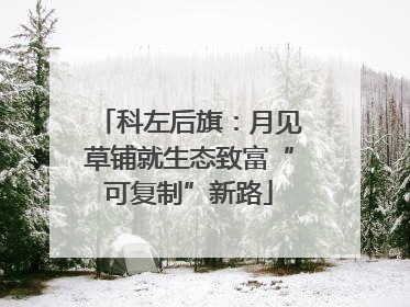科左后旗：月见草铺就生态致富“可复制”新路